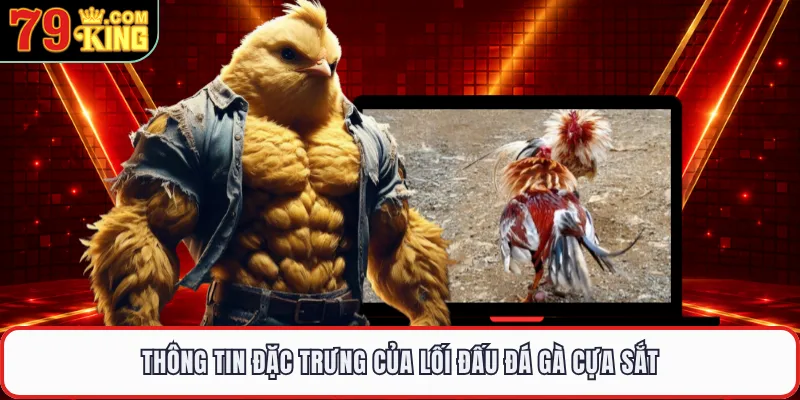 Thông tin đặc trưng của lối đấu đá gà cựa sắt 